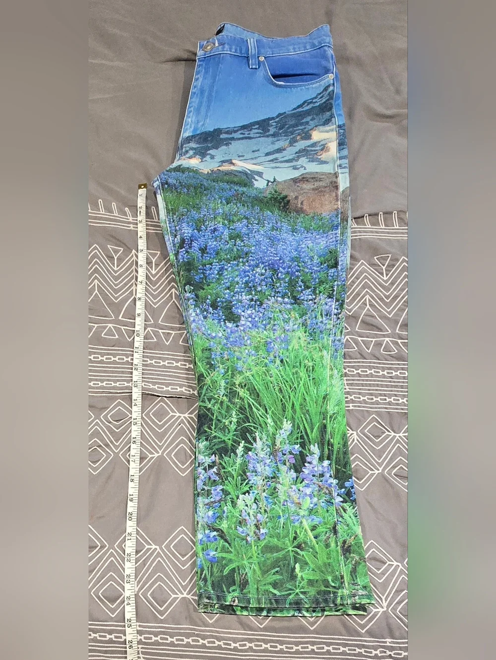 Hudson Barbara High Rise Straight Leg Cropped Jeans Mountain Landscape  Size 30 - Picture 3 of 10